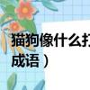 貓狗像什么打一成語三年級（貓狗像什么打一成語）