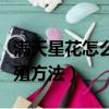 滿天星花怎么養殖方法干花（滿天星花怎么養殖方法）