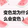 變色龍為什么會變色原理是什么（變色龍為什么會變色）
