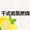 干式低氮燃燒器（關于干式低氮燃燒器介紹）