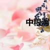 中糧瀾山花園房價（中糧瀾山）
