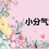 小分氣丸（關于小分氣丸簡介）