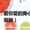 愛你愛的撕心裂肺是什么歌曲（愛你愛的撕心裂肺）