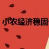 小農經濟穩固論（關于小農經濟穩固論簡介）