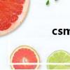 csmate補丁（csmate）
