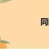 同網傳輸文件（同網）