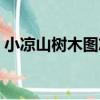 小涼山樹木圖志（關于小涼山樹木圖志簡介）