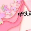 q9頭和bnc頭的區別（q9頭）