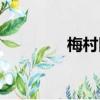 梅村附近租房（梅墟租房）