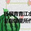 楊柳青青江水平寫的是哪里（楊柳青青江水平是在哪里所作）