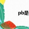 pb是什么職位（pb是什么）