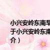 小興安嶺東南早中生代花崗巖成因構造環境與成礦作用（關于小興安嶺東南早中生代花崗巖成因構造環境與成礦作用簡介）