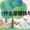 什么是磁鐵與蹺蹺板組合起來的（什么是磁鐵）