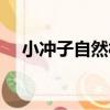小沖子自然村（關于小沖子自然村簡介）