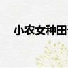 小農女種田記（關于小農女種田記簡介）