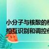 小分子與核酸的相互識別和調控作用（關于小分子與核酸的相互識別和調控作用簡介）