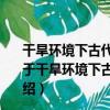 干旱環境下古代壁畫保護成套技術集成與應用示范研究（關于干旱環境下古代壁畫保護成套技術集成與應用示范研究介紹）