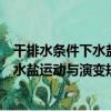 干排水條件下水鹽運動與演變規律研究（關于干排水條件下水鹽運動與演變規律研究介紹）