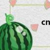 cnpRX蘭霜（cnprx）