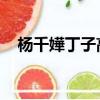 楊千嬅丁子高綜藝節目（楊千嬅 丁子高）