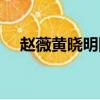 趙薇黃曉明陳坤同學（趙薇黃曉明陳坤）