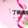 丁佩向華強結婚照（丁佩向華強）