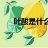 葉酸是什么原料做成的（葉酸是什么）