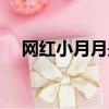 網紅小月月是哪里人（網絡紅人小月月）