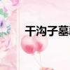 干溝子墓群（關于干溝子墓群介紹）