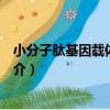 小分子肽基因載體的研究（關于小分子肽基因載體的研究簡介）