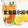 紫金縣爾崧中學錄取分數線（紫金縣爾崧中學）