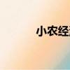 小農經濟（關于小農經濟簡介）