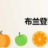 布蘭登羅伊球鞋（布蘭登羅伊）