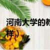 河南大學的教育學怎么樣（河南教育學院怎么樣）