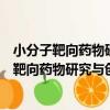 小分子靶向藥物研究與創制湖南省重點實驗室（關于小分子靶向藥物研究與創制湖南省重點實驗室簡介）