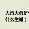 大智大勇是什么生肖 百度網盤（大智大勇是什么生肖）