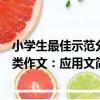 小學生最佳示范分類作文：應用文（關于小學生最佳示范分類作文：應用文簡介）
