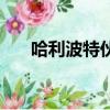 哈利波特伙伴卡怎么打（哈卡怎么打）
