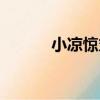 小涼驚丸（關于小涼驚丸簡介）