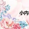 小內村（關于小內村簡介）