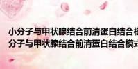 小分子與甲狀腺結合前清蛋白結合模式的理論研究(關于小分子與甲狀腺結合前清蛋白結合模式的理論研究簡介)