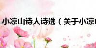 小涼山詩人詩選(關于小涼山詩人詩選簡介)