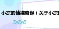 小涼的仙貓奇緣(關于小涼的仙貓奇緣簡介)