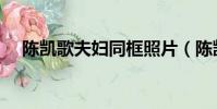 陳凱歌夫婦同框照片(陳凱歌夫婦同框)