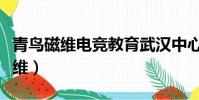 青鳥磁維電競教育武漢中心招生簡章(青鳥磁維)