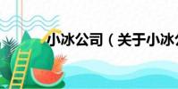 小冰公司(關于小冰公司簡介)