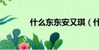 什么東東安又琪(什么東東)