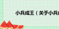 小兵成王(關于小兵成王簡介)