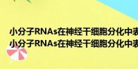 小分子RNAs在神經干細胞分化中表達與功能的研究(關于小分子RNAs在神經干細胞分化中表達與功能的研究簡介)