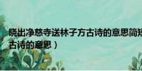 曉出凈慈寺送林子方古詩的意思簡短(曉出凈慈寺送林子方古詩的意思)